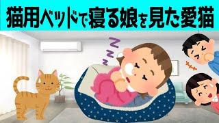 【2chほのぼの】娘に専用ベッドを奪われた時の愛猫のリアクションが可愛すぎたwww