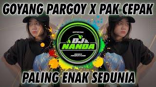 DJ GOYANG PARGOY X PAK CEPAK REMIX 2021