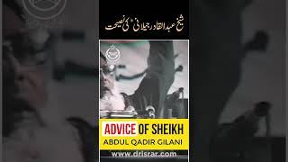 Advice Of Sheikh Abdul Qadir Jilani By Dr Israr Ahmed #shorts