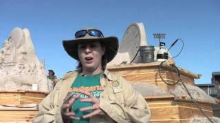 Art of Sand 2011: Sculptor Karen Fralich