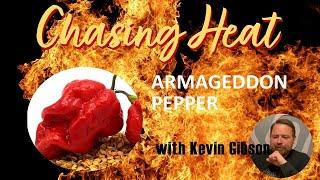 Armageddon Pepper Challenge Time |  Chasing Heat