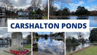Carshalton Ponds in the London Borough of Sutton