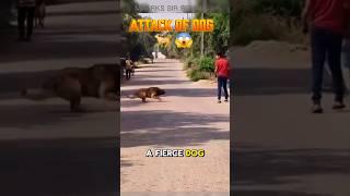 The Dog Attack a Boy  #dogshorts #animalshorts #sirsohail