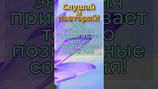 Вы притягиваете только хорошее! #meditation #аффирмации #позитив #настрой