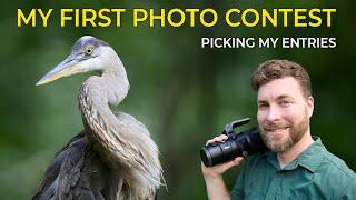 Entering My First Wildlife Photo Contest - Help Me Choose My Entries | Wilder Photo Competition