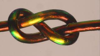 Color-Changing Fibers Reveal Why Some Knots are Stronger Than Others