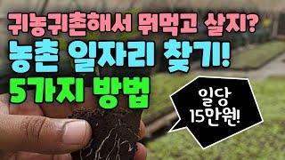 농촌 일자리 찾기! 5가지 방법, 귀농귀촌해서 뭐먹고 살지?, 농촌에서 직업 찾기 5가지 방법, 시골에서 돈버는법, 귀농귀촌, 전원주택, 전원생활, 귀촌부부, 청년농부