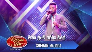 “මගේ පුංචි රෝස මලේ” | Shehan Malinda | Dream Star Season 11