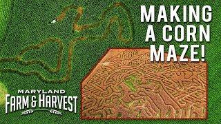 How to Make a Corn Maze! | Maryland Farm & Harvest