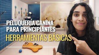 Cómo empezar una estética para mascotas | Herramientas básicas de la peluquería canina