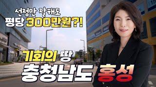 홍성 토지투자 강의 - 3편, │홍성 땅투자 충남 부동산 재테크 방법