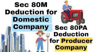 #10 Sec 80M Deduction for Domestic Company || Sec 80PA Deduction for Producer Company