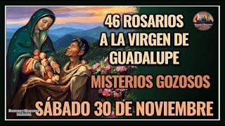 46 ROSARIOS A LA VIRGEN DE GUADALUPE: MISTERIOS GOZOSOS: SÁBADO 30 DE NOVIEMBRE DE 2024.