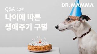 [Q&A] 강아지 나이에 따른 생애주기 구별법 l 닥터맘마 수의사팀