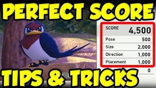 How To Take PERFECT Pictures In New Pokemon Snap! New Pokemon Snap Tips and Tricks!