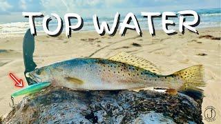 Try this Lure & catch Trout (Surf Fishing) Corpus Christi, TX