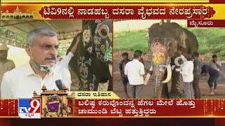 Mysuru Dasara 2020: Dasara elephant Abhimanyu decorated ahead of Jambu Savari, DCF Alexander reacts