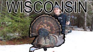 NO Tent, No Blind, No PROBLEM! Turkey Hunting Northern Wisconsin Big Woods with a BOW!