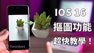 iOS 16 摳圖 功能超好用！30秒教會你用 iPhone 去除 照片背景 ！