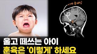 화내고 떼쓰는 아이 "이 아몬드 기억하세요!" I 올바른 훈육 방법