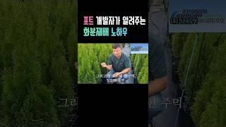 화분 개발자가 알려주는 노하우