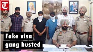 Jalandhar police bust fake visa gang; arrest 2