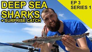 Deep Sea Sharks in Oban: Chasing Scales Species Hunt  (EPISODE 3)