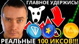 СРОЧНО!  УЖЕ ЗАРЯЖАЮТ DOGS, NOT, TON, MAJOR! 🟢 ВЫХОДЯТ ЛИШНИЕ И ЛЕТИМ НА ИКСЫ [РЕАЛЬНЫЕ 100 ИКСОВ]