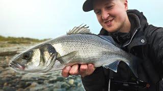 Chasing Silver: Trying To Catch My First Sea Trout On Læsø!