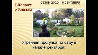 Утренняя прогулка по саду в начале сентября!