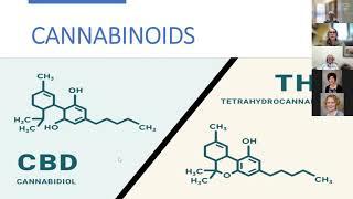 Introduction to Medical Cannabis