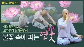 불꽃속에피는연꽃 12월 12일 아침정진기도 | 스님과 함께하는 요가명상과 좌선명상 | Guided Daily Meditation