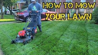 How to MOW, TRIM, EDGE and Blow your grass