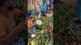 Lychee selling in a village market #explore #travel #village #villagemarket #lychee #seller #rural