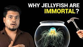 Why is this Jellyfish IMMORTAL?