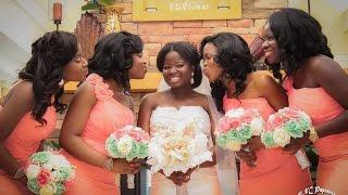 THE SWEETEST GHANAIAN WEDDING (DR.VERA + FRANK  5/21/16