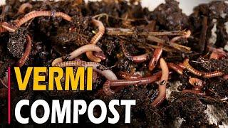 How to Make Vermicompost | How To make Vermicompost at Home From Kitchen Waste