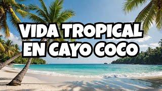 cayococo tropical living terrenos en venta playa san bruno