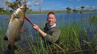 2 Weeks in Australia - Swimming with Crocodiles, Racing Rally Cars & Petting Kangaroos