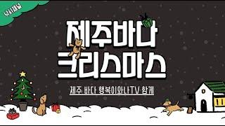 여러분 메리크리스마스( Merry Christmas)#제주바다 #원투낚시 #감성돔 #돌돔#참돔