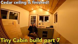 Off grid living cabin build in the woods #tinyhouse #minihouse part 7 #offgrid