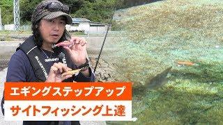 【サイトフィッシング上達】 動画で学ぶ！エギングステップアップ講座