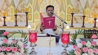 Holy Mass August 12 Monday   08.45  AM I Malayalam I Syro Malabar I Fr Bineesh Augustine