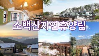 별 5개 가능 소백산자연휴양림 ver. 202304ㅣ(충북 단양)자연휴양림 4K ep. 14