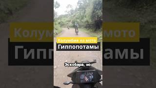 Колумбийские гиппопотамы Эскобара  На мотоцикле по Колумбии  #дальняк #мототуризм