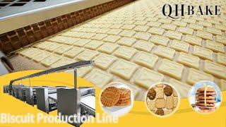 Big capacity biscuit production line. Hard biscuit soft biscuit making machine cracker cookies maker