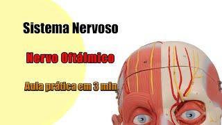 Nervo Trigêmeo - Nervo Oftálmico - Neuroanatomia - Anatomia - Anatomia Humana