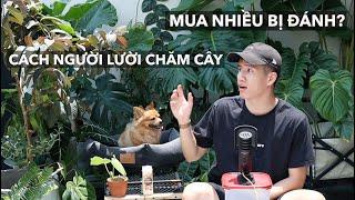 Một vòng khu vườn trên ban công của mình và cách chăm cây nhàn tênh