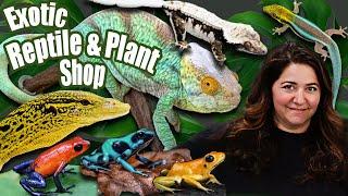 New Exotic Reptile and Plant Shop Tour!