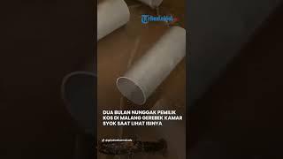 Pemilik Kos Syok! Kamar Nunggak 2 Bulan Isinya Gak Masuk Akal! #viralshort #malangviral #malang